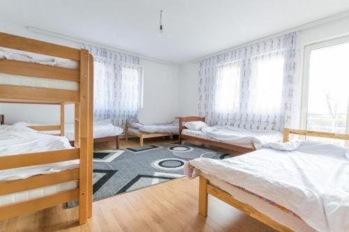 Dedushi Guesthouse &Wood Cabins-Camping Place Gusinje Exteriér fotografie